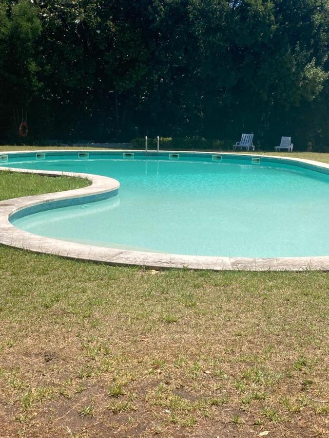 Cozy Classic Apartments 4 - Palácio da Quinta da Portela Coimbra Esterno foto